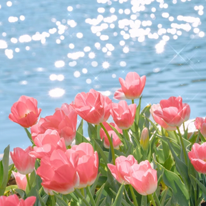 三上和松泽演解说
